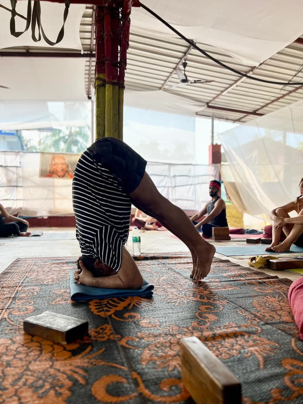 Student in standing forward fold on a mat in the open-air shala at Arambol