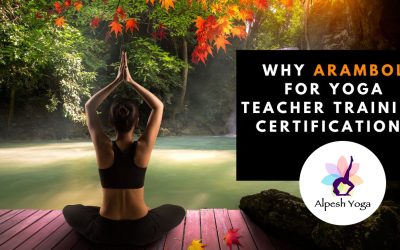 Why Arambol For Yoga Teacher Training Course