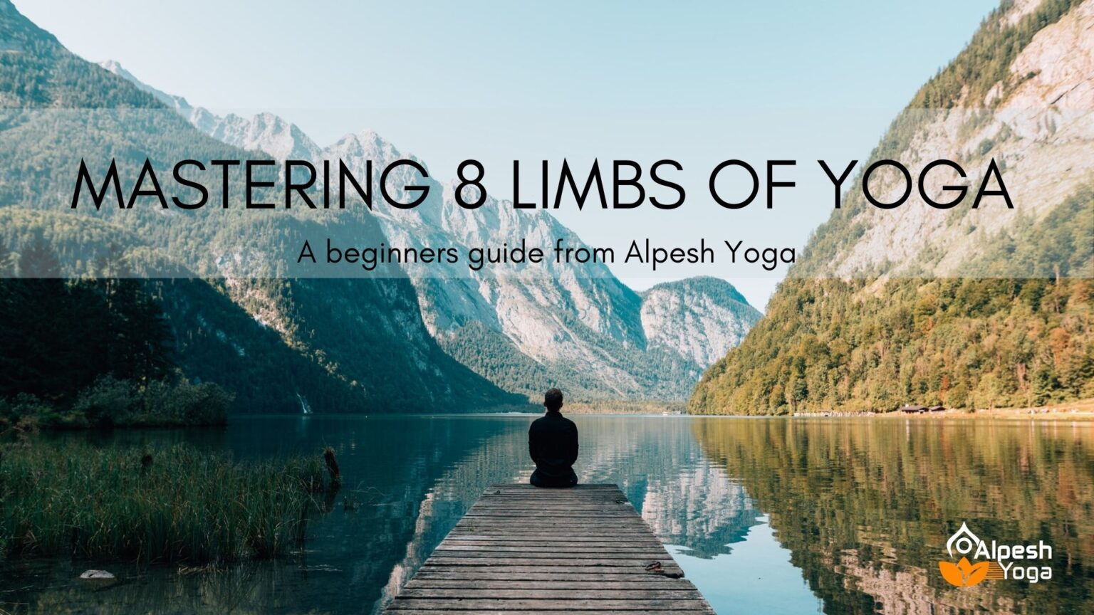 8 limbs of yoga for beginners