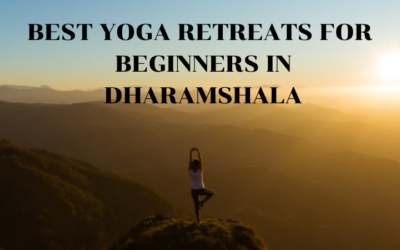 Best yoga retreats for beginners in Dharamshala