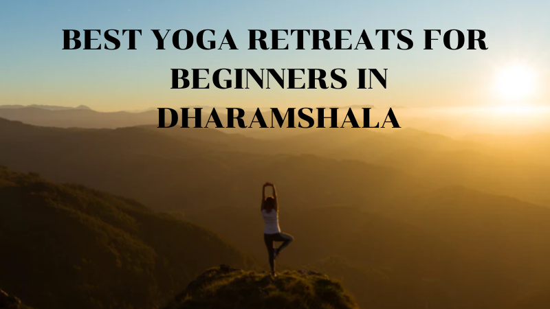 Best yoga retreats for beginners in Dharamshala
