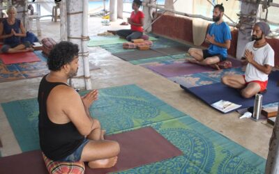 Learn yoga in McLeod Ganj, Dharamshala