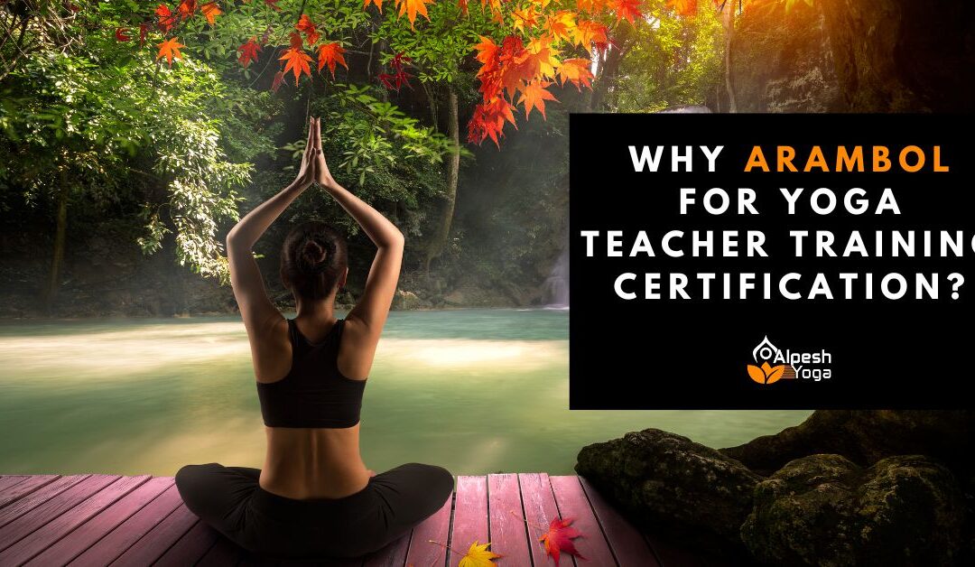 Why Arambol For Yoga Teacher Training Course