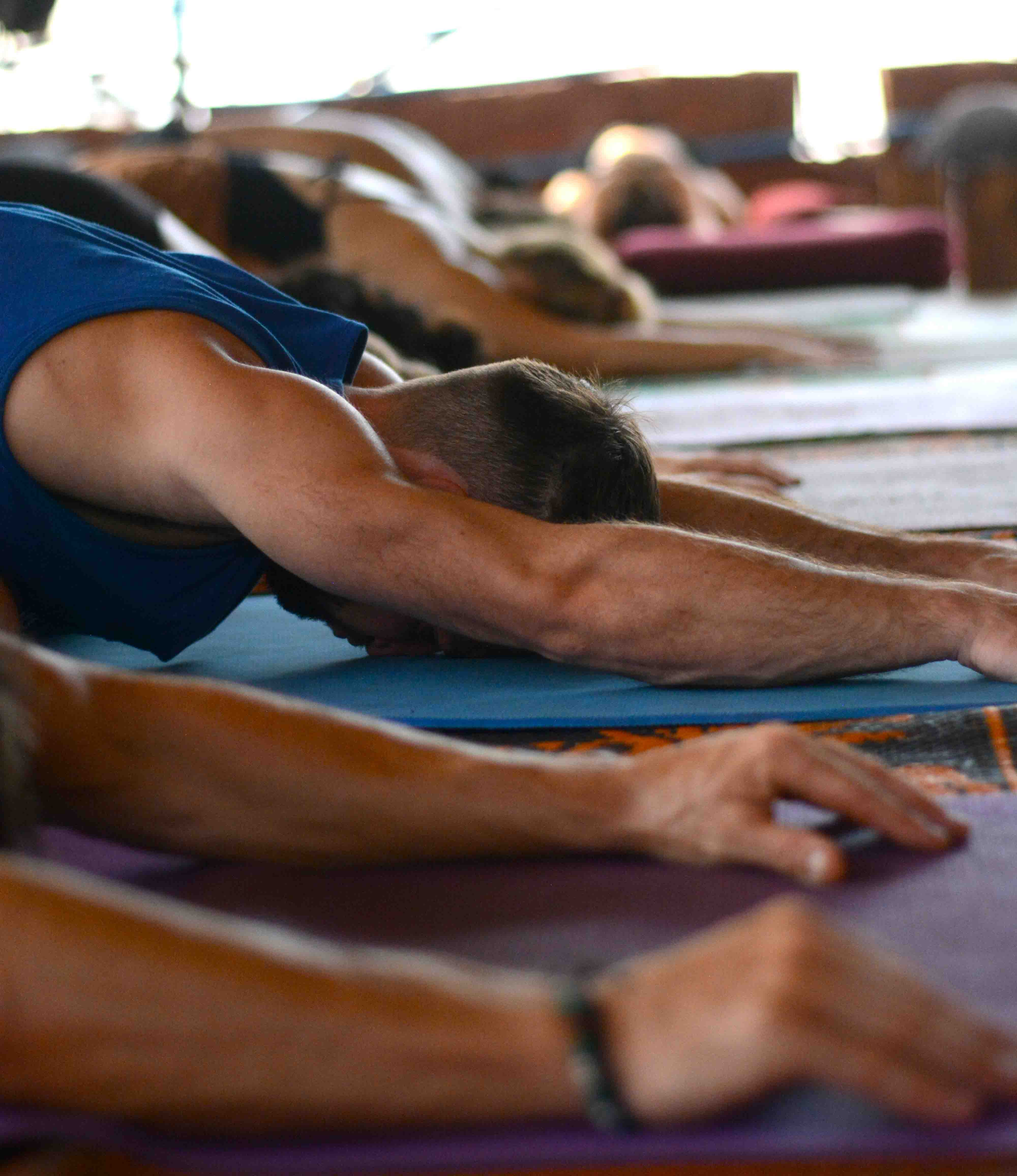 300-hour Yoga TTC in Dharamshala