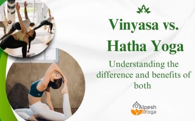 Vinyasa vs. Hatha Yoga: Understanding the Difference and Benefits of Both