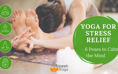 Yoga for Stress Relief: 6 Poses to Calm the Mind