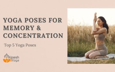 Yoga Poses for Memory & Concentration: Top 5 Yoga Poses